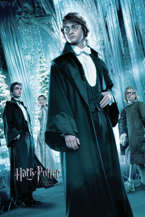 Fototapeta Harry Potter and the Goblet of Fire - Harry