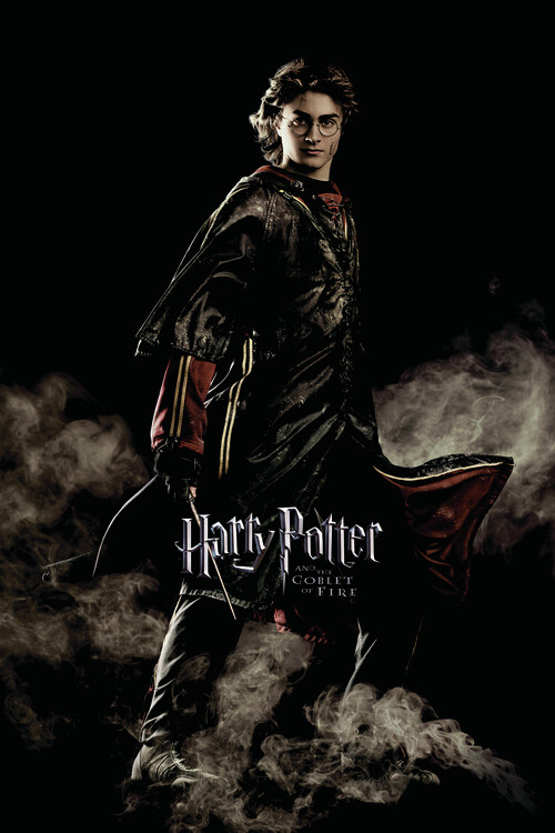 Fototapeta Harry Potter and the Goblet of Fire - Harry