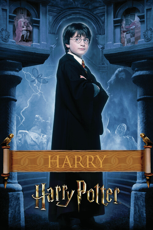Fototapeta Harry Potter - Harry
