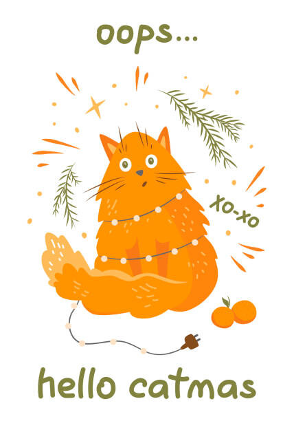 Fototapeta Hello catmas. Funny greeting card for