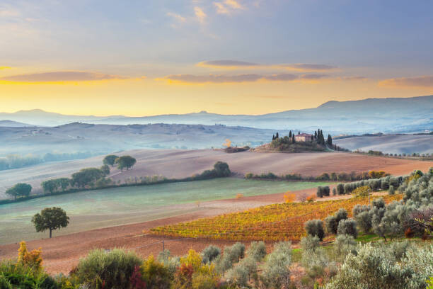 Fototapeta Landscape in Tuscany, Italy