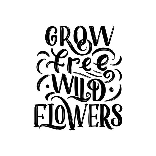 Fototapeta Lettering quote about flowers, illustration made
