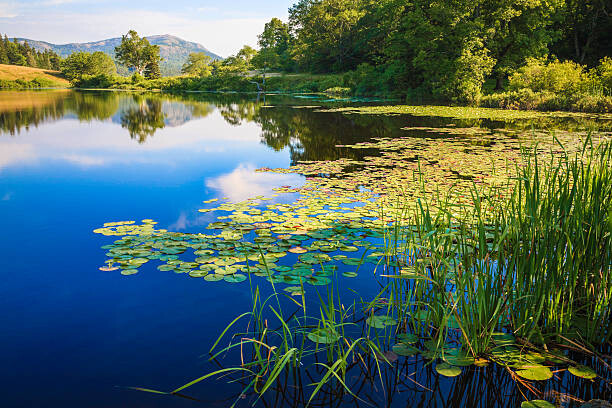 Fototapeta Long Pond, Maine, deep blue water