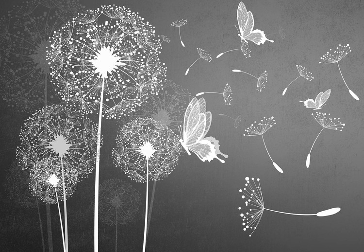 Fototapeta Modern Dandelions And Butterflies Grey And White