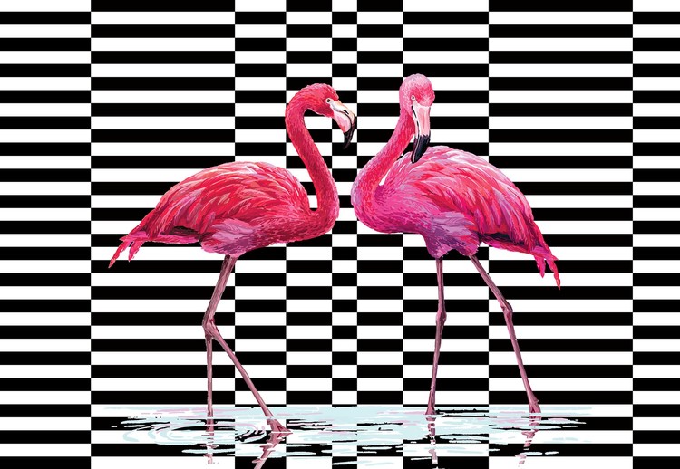 Fototapeta Modern Tropical Flamingos