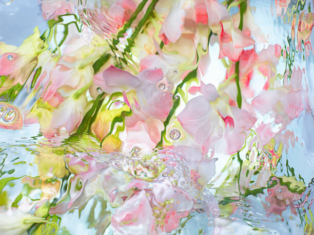 Fototapeta Orchid under warter