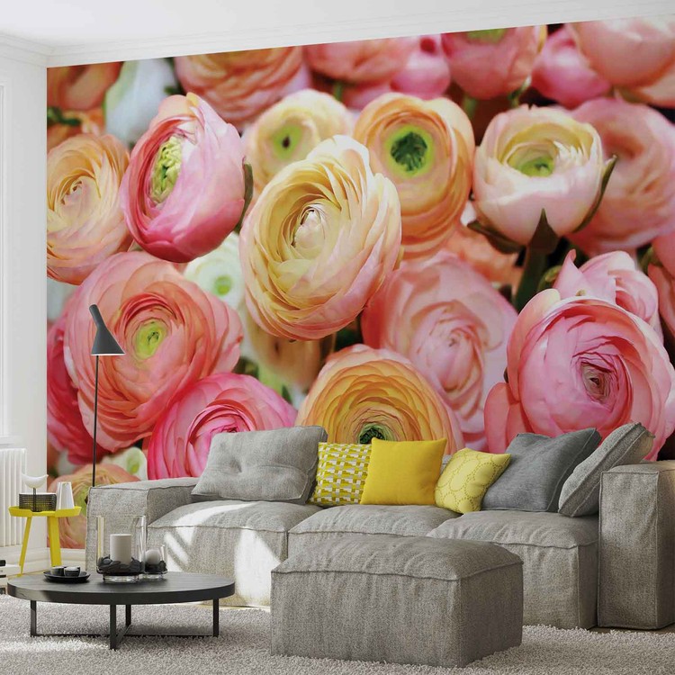 Peonie Fototapeta Tapeta Kup Na Posters Pl