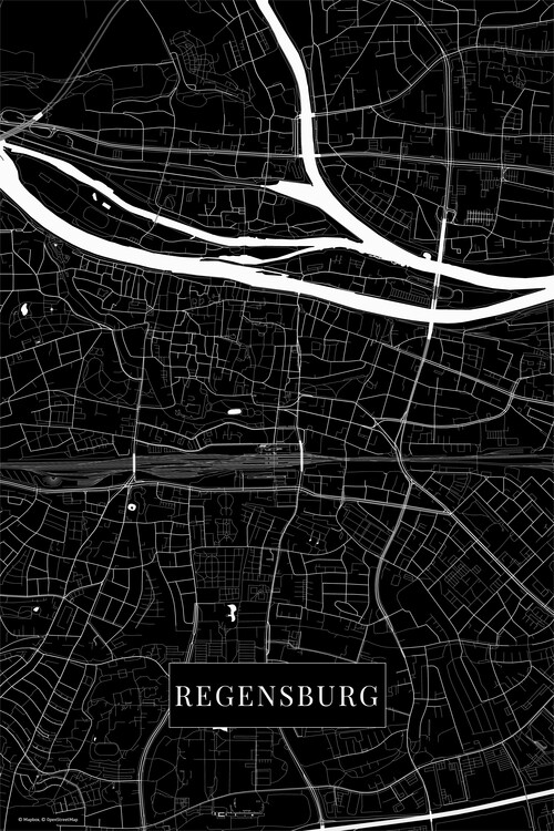 Fototapeta Regensburg black