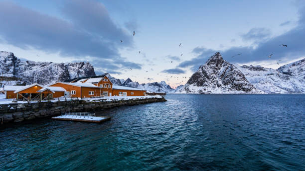 Fototapeta Sakrisoy fish factory of Lofoten Norway