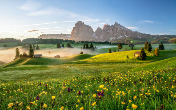 Fototapeta Seiser Alm, Dolomite Alps, Italy, Europe