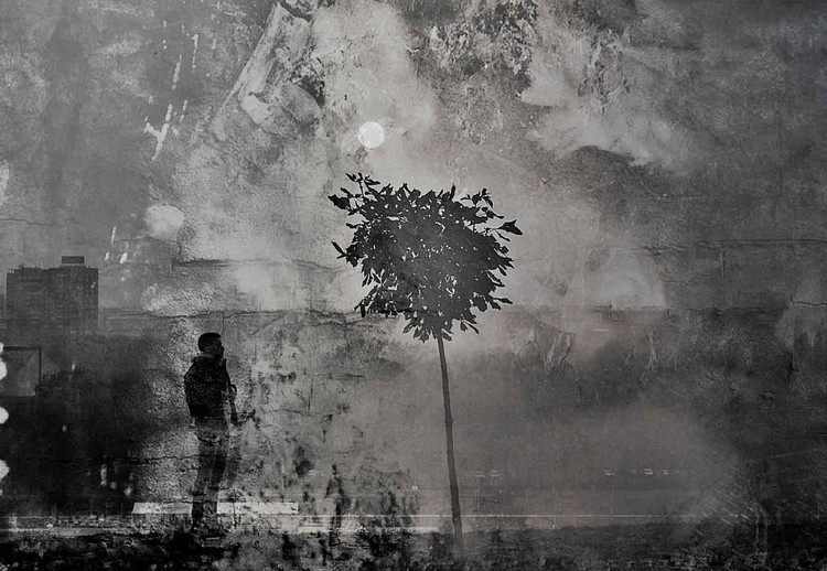 Fototapeta Splitting Shadows