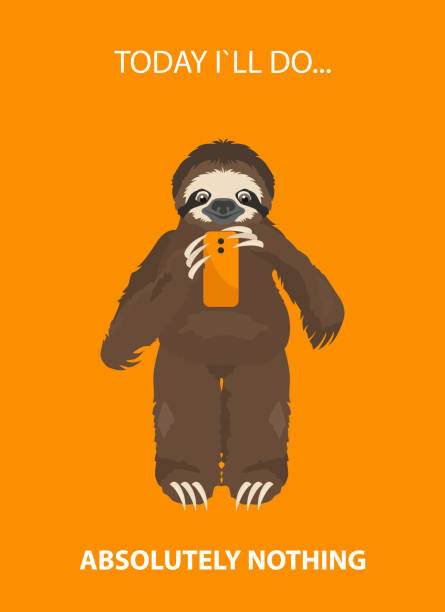 Fototapeta The story of one sloth. At