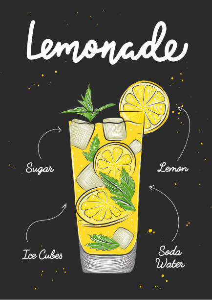 Fototapeta Vector engraved style Lemonade drink in