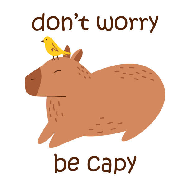 Fototapeta Vector funny capybara with text dont