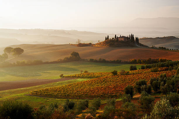Fototapeta View across Tuscan landscape.