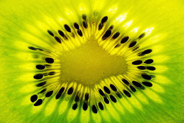 Sticker Fresh kiwi fruit slice