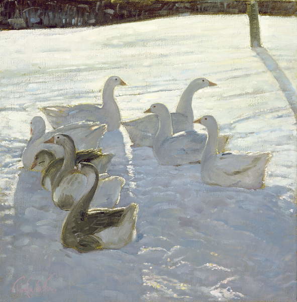 Samolepka Geese Against the Light