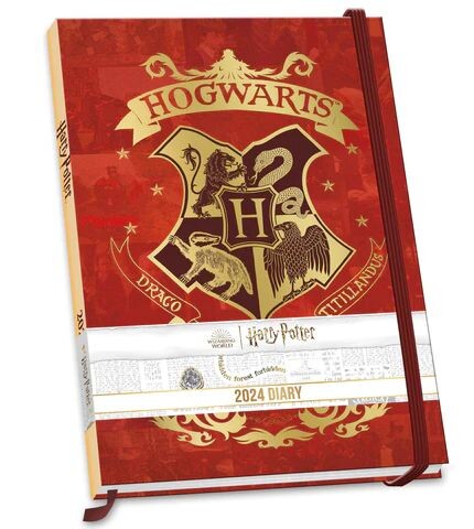 Calendario de Harry Potter 2024, paquete de edición en caja, calendario de  lujo de Harry Potter con más de 100 calcomanías de calendario (regalos de