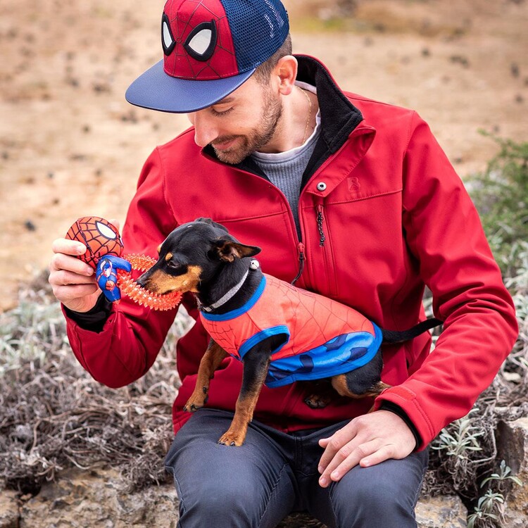 Accessori per cani Giocattolo Spider-Man  Consigli per regali originali per  animali