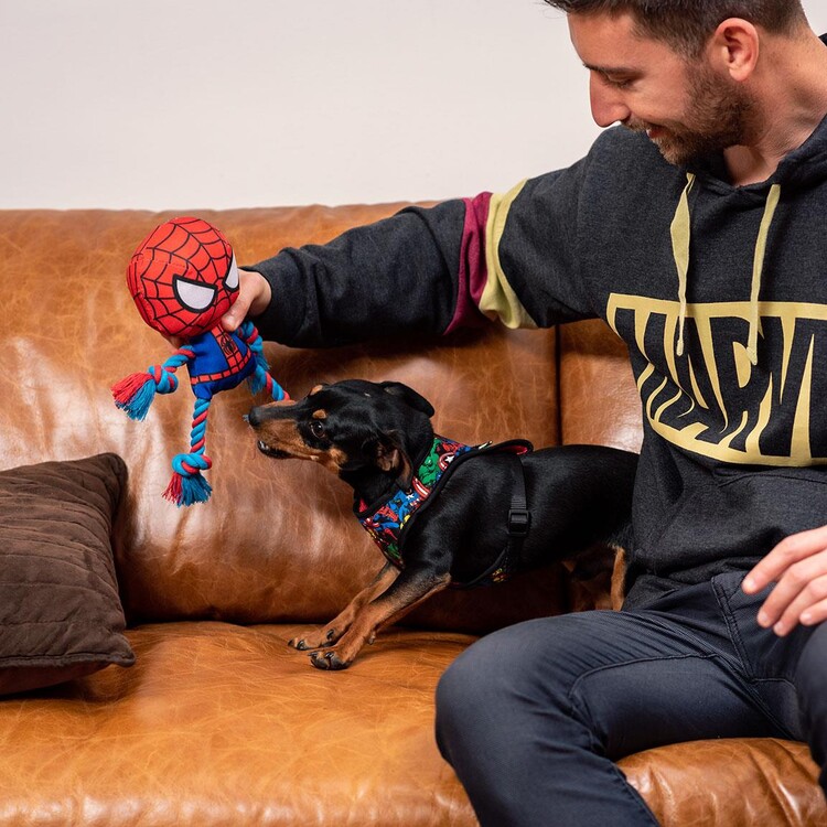 Peluche per Cane Marvel Spiderman