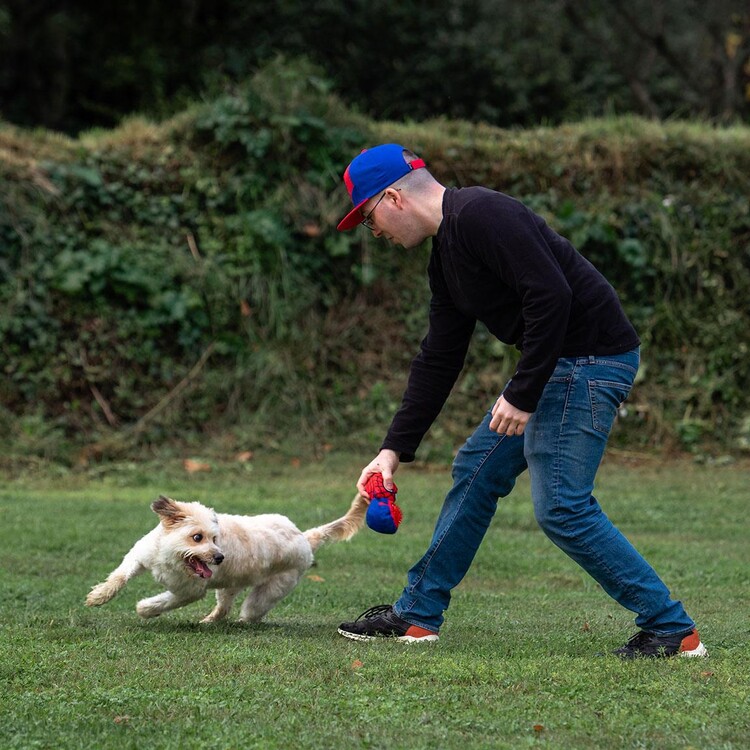 Gioco peluche Spiderman . Giochi Per Cani