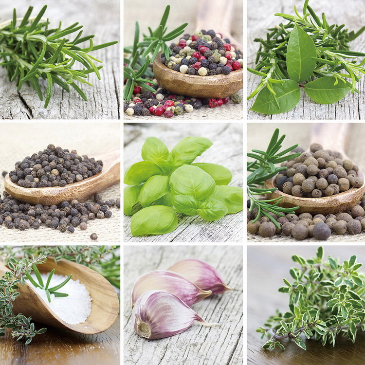 Glasbilder Green Herbs