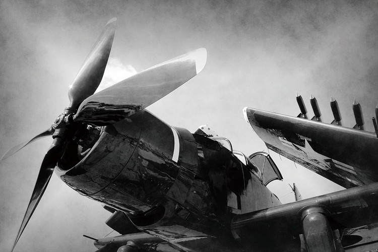 Glasbilder Plane - Black and White Screw