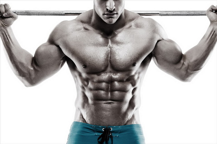 Glasbilder Strength and Muscles