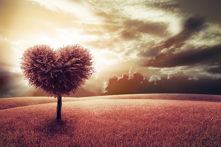 Glasbilder Tree - Heart