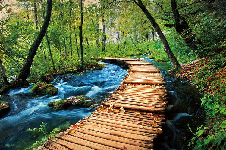 Glasbilder Wooden Path