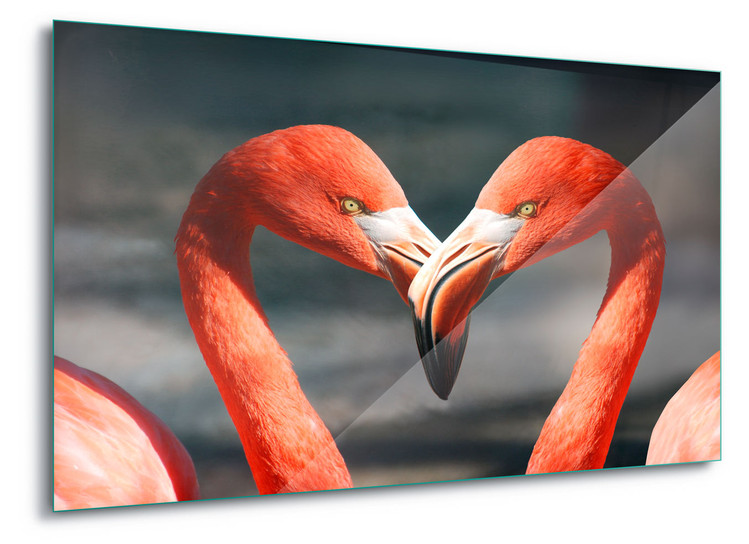 Flamingos cheapest in Love