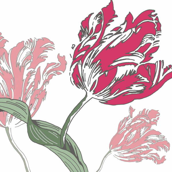 Tričko Going Dutch, 2005