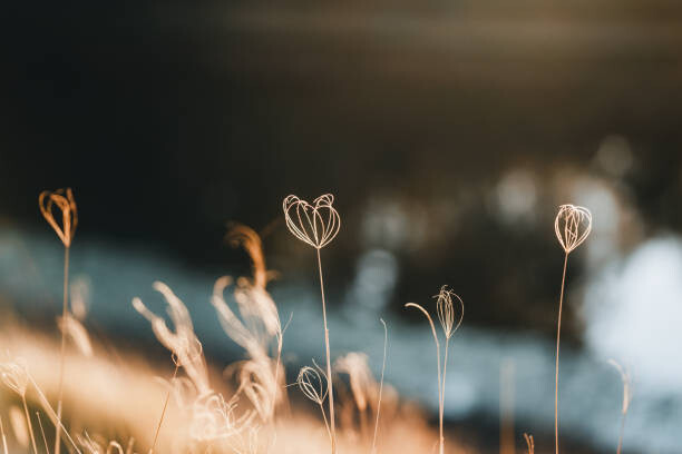 Samolepka Grass grows in Gold Creek Reservoir