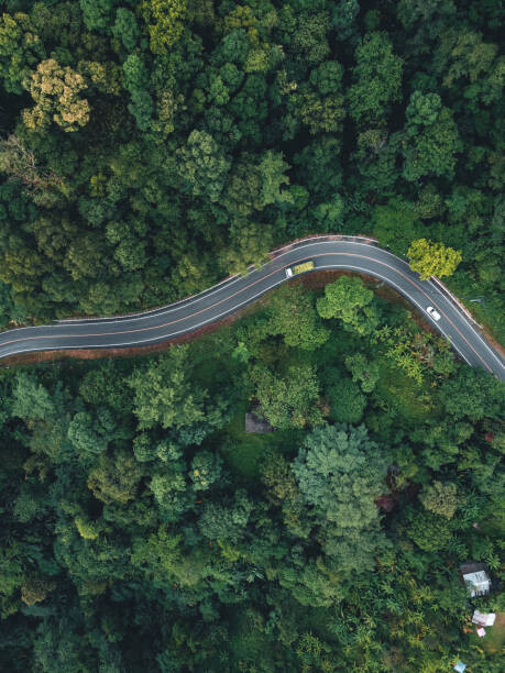 Samolepka Green road up the mountain in the rainy season