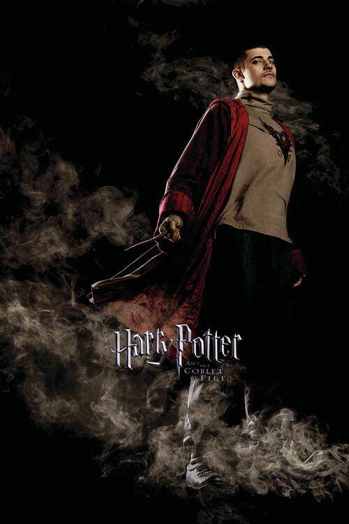 Samolepka Harry Potter and the Goblet of Fire - Krum