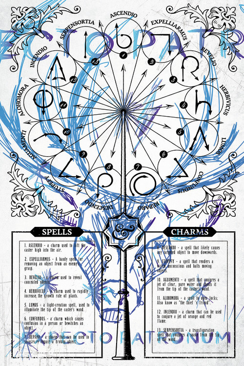 Samolepka Harry Potter - Expectopatronum