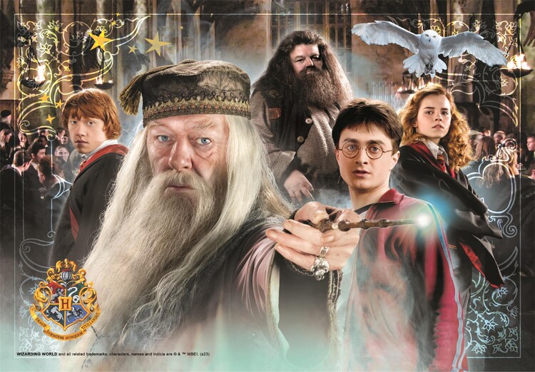 Puzzle Harry Potter | Idées de cadeaux originaux | Europosters.fr