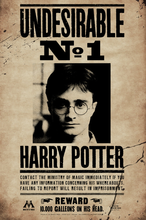 Samolepka Harry Potter - Undesirable No 1