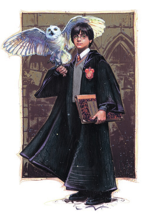 Sticker Harry Potter with Hedvig - Art