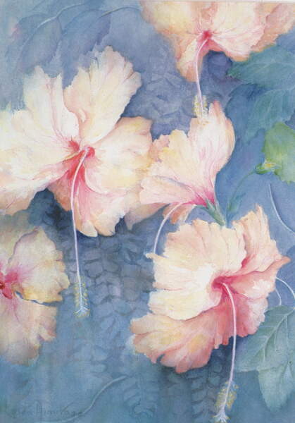 Sticker Hibiscus, apricot