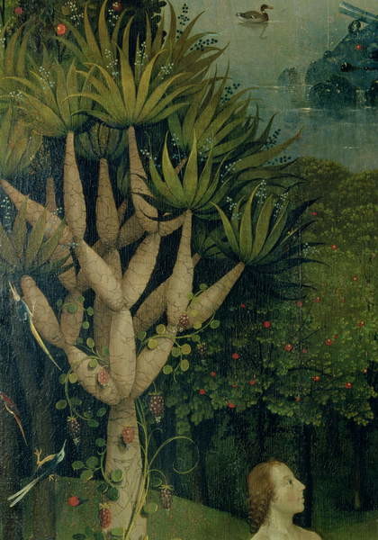 Adesivo murale Hieronymus Bosch - Trittico del Giardino delle delizie