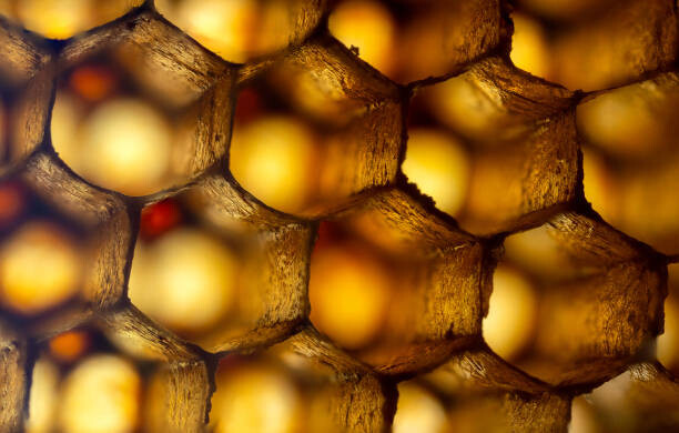 Naklejka Honeycomb ultra Macro Photo