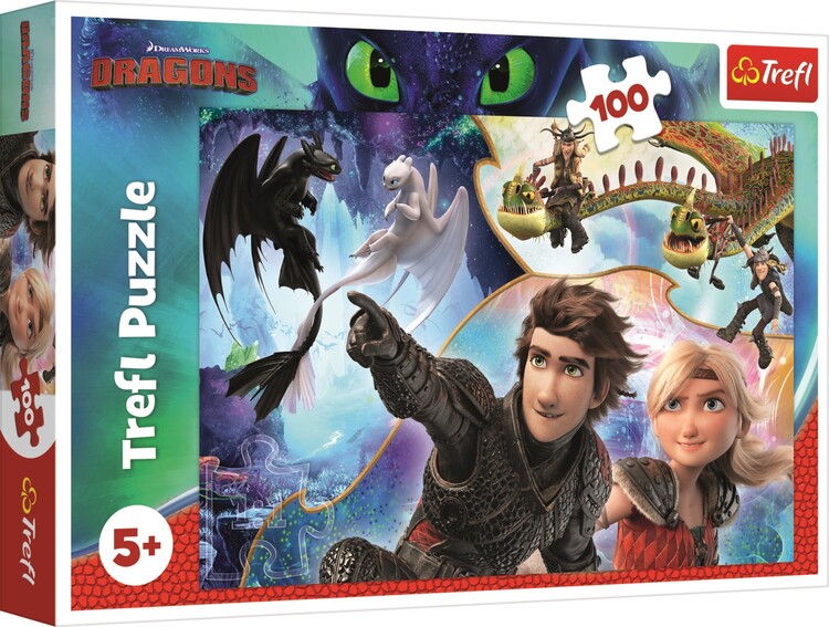 Jigsaw puzzle How to Train Your Dragon 3 In the Land of Dragons Tips