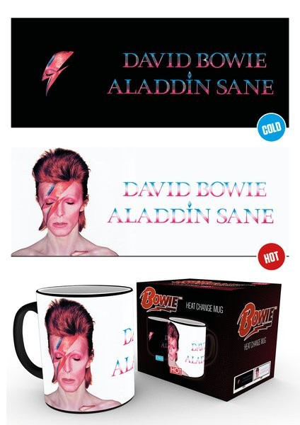 Hrnek David Bowie - Aladdin Sane