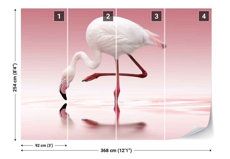 Fototapeta Flamingo