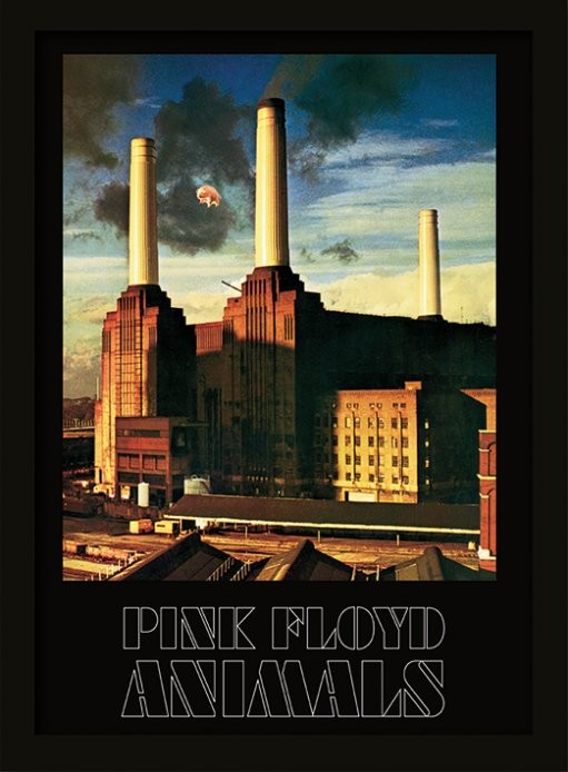 Ingelijste poster Pink Floyd - Animals