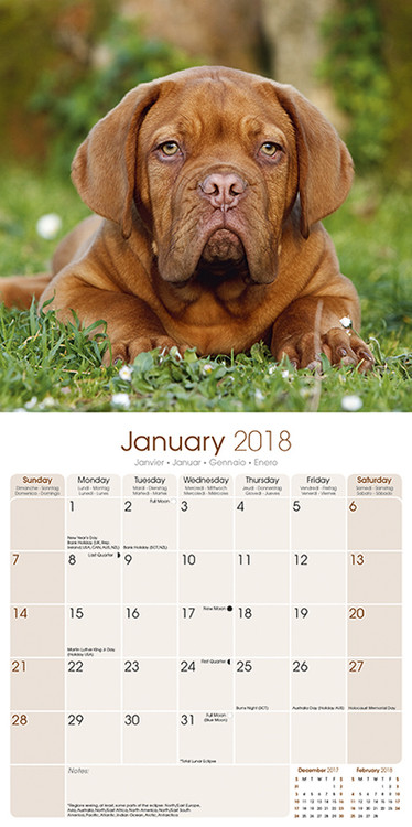 Kalendář 2018 Bordeauxská doga