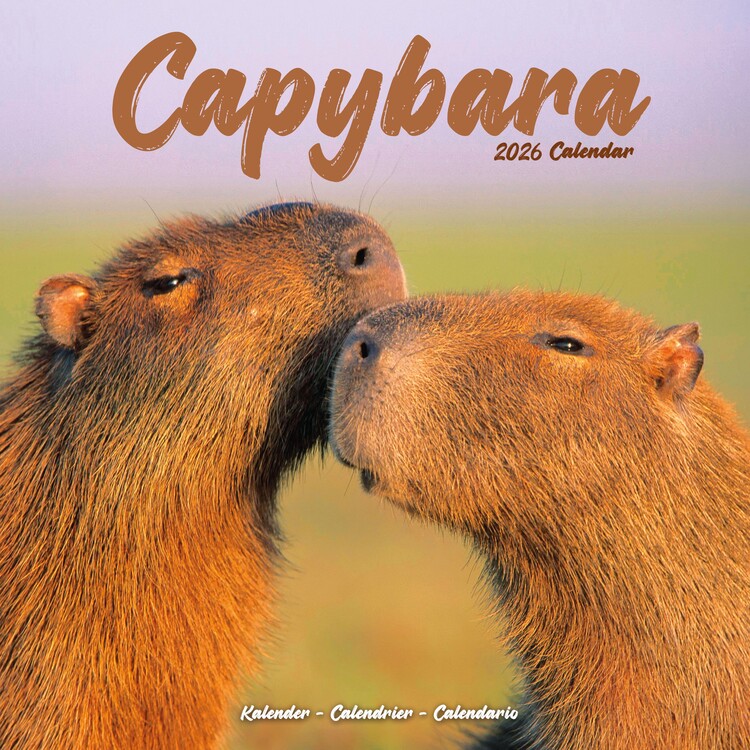Kalendář 2026 Capybara