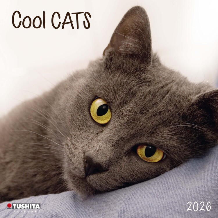 Kalendář 2026 Cool Cats