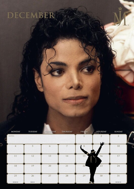 Michael Jackson Kalendáře na zeď 2024 Kup na Posters.cz